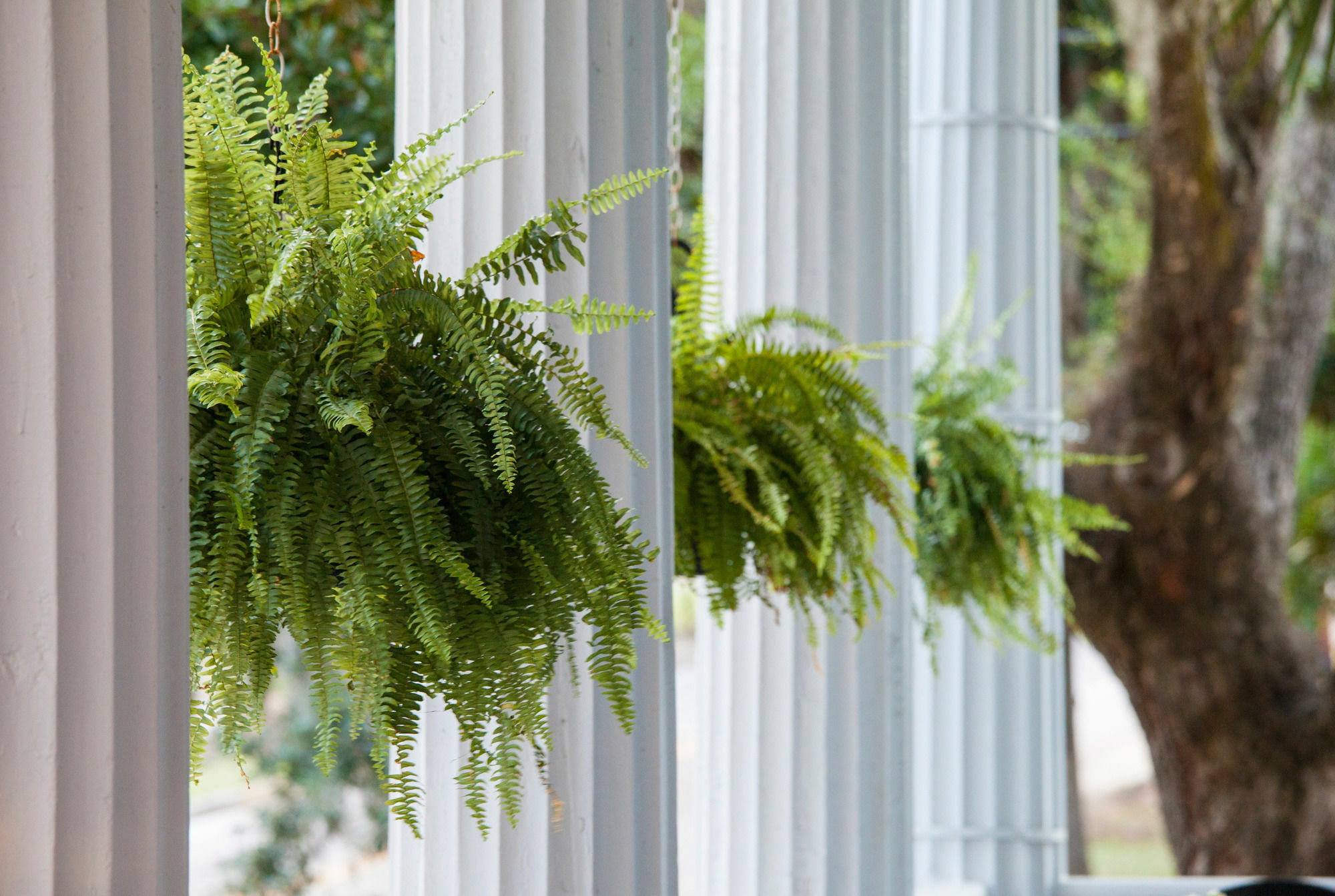 Bed and Breakfast Rhett House Beaufort Exteriér fotografie